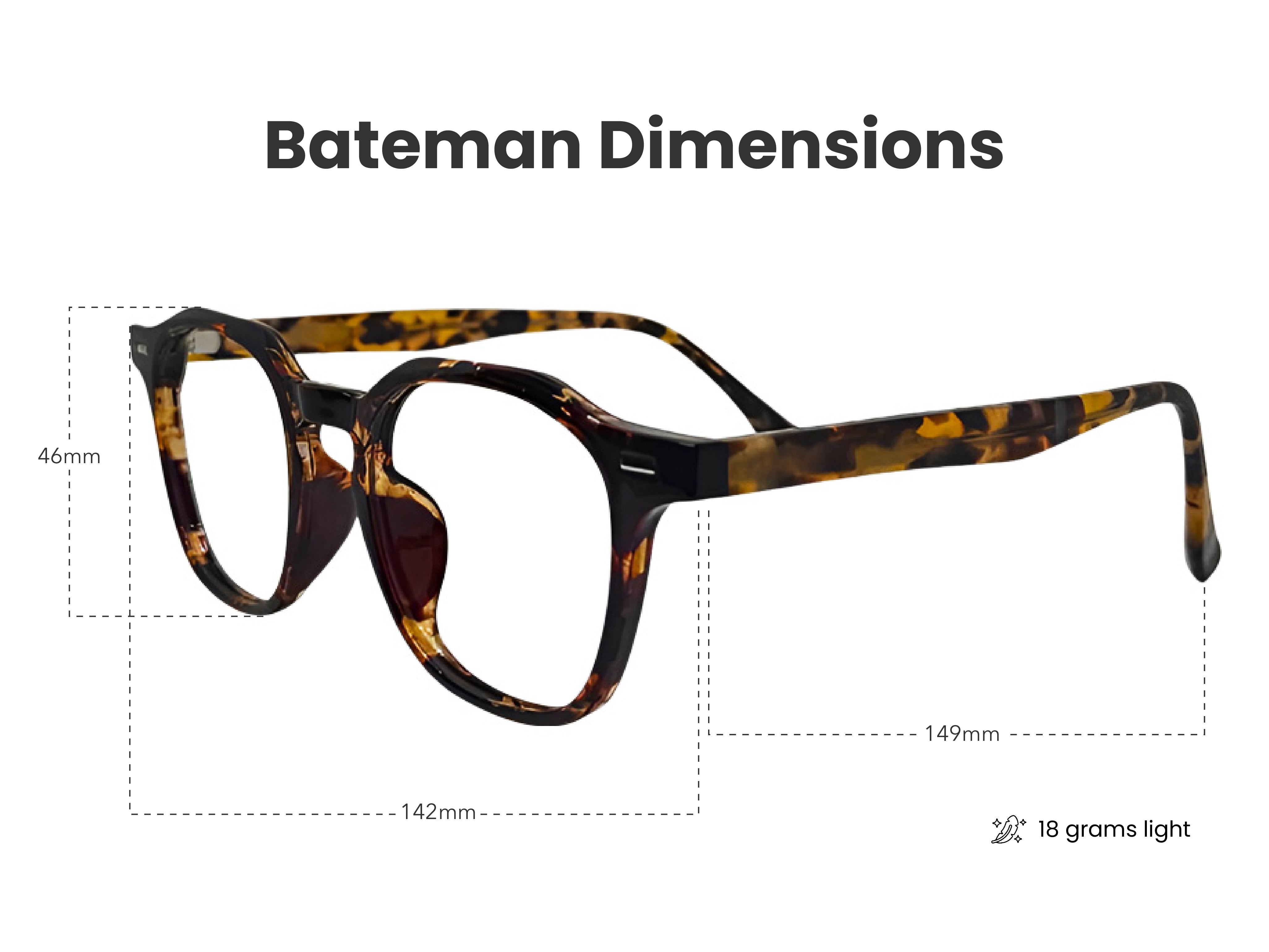 Load image into Gallery viewer, Bateman in Autumn