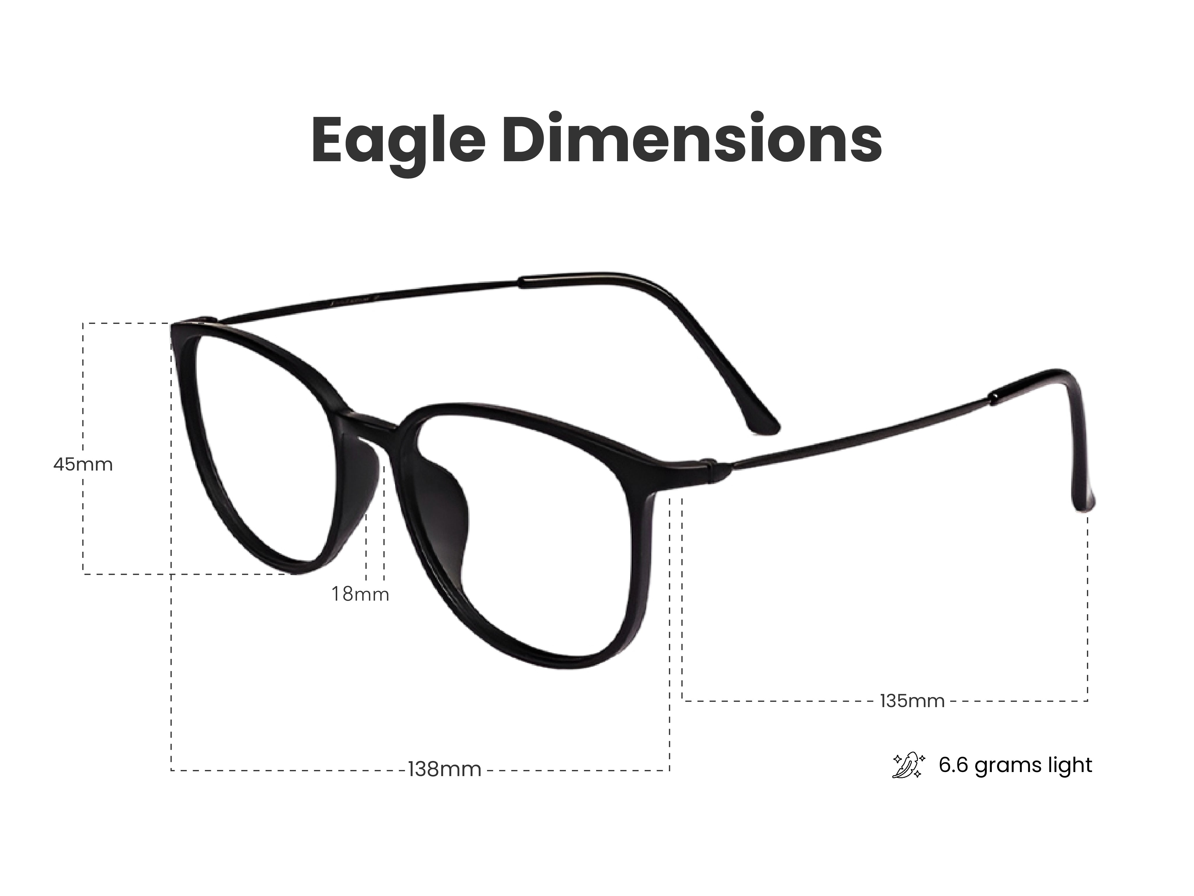 Load image into Gallery viewer, Eagle in Matte Black