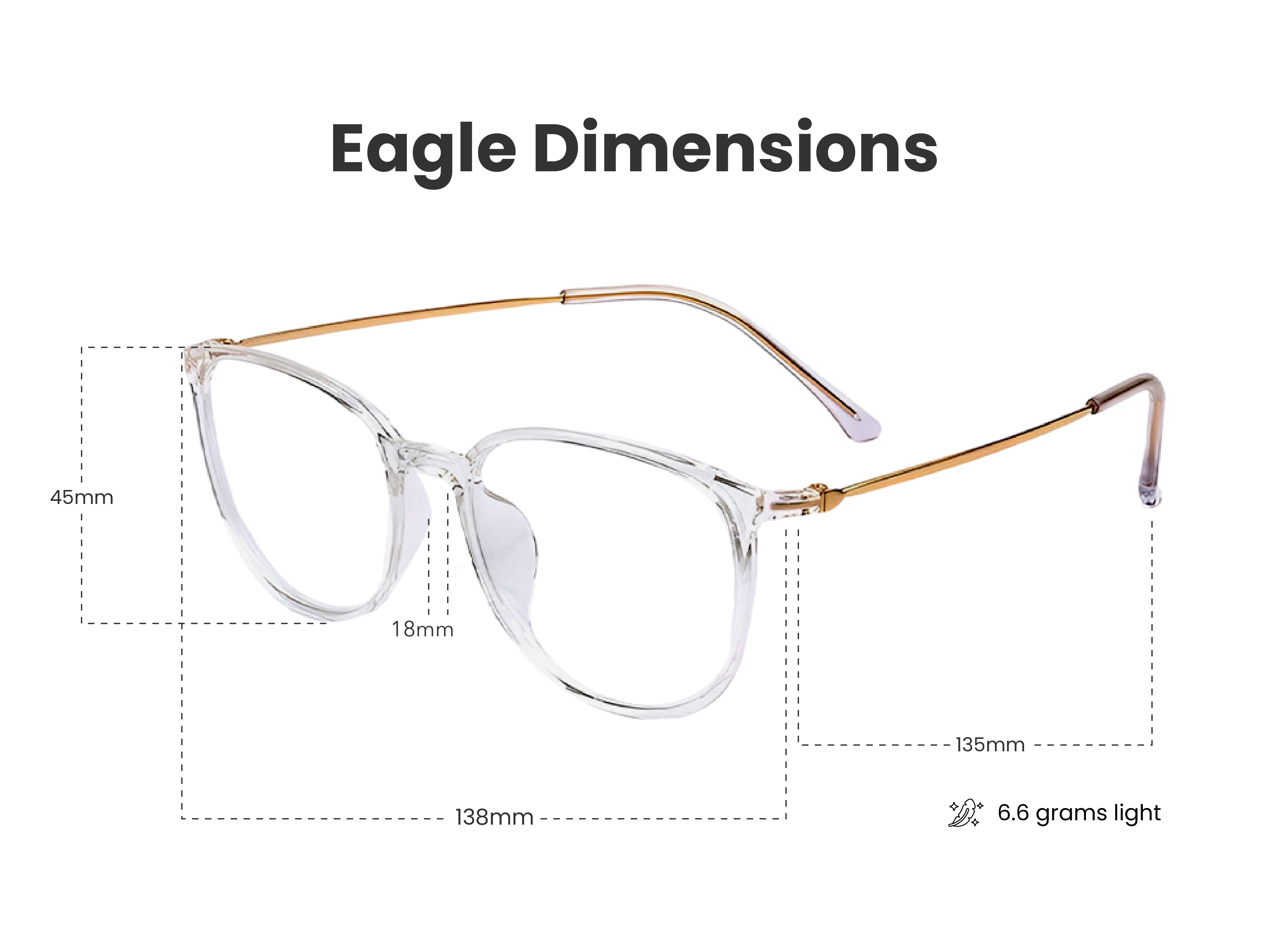 Load image into Gallery viewer, Eagle in Clear