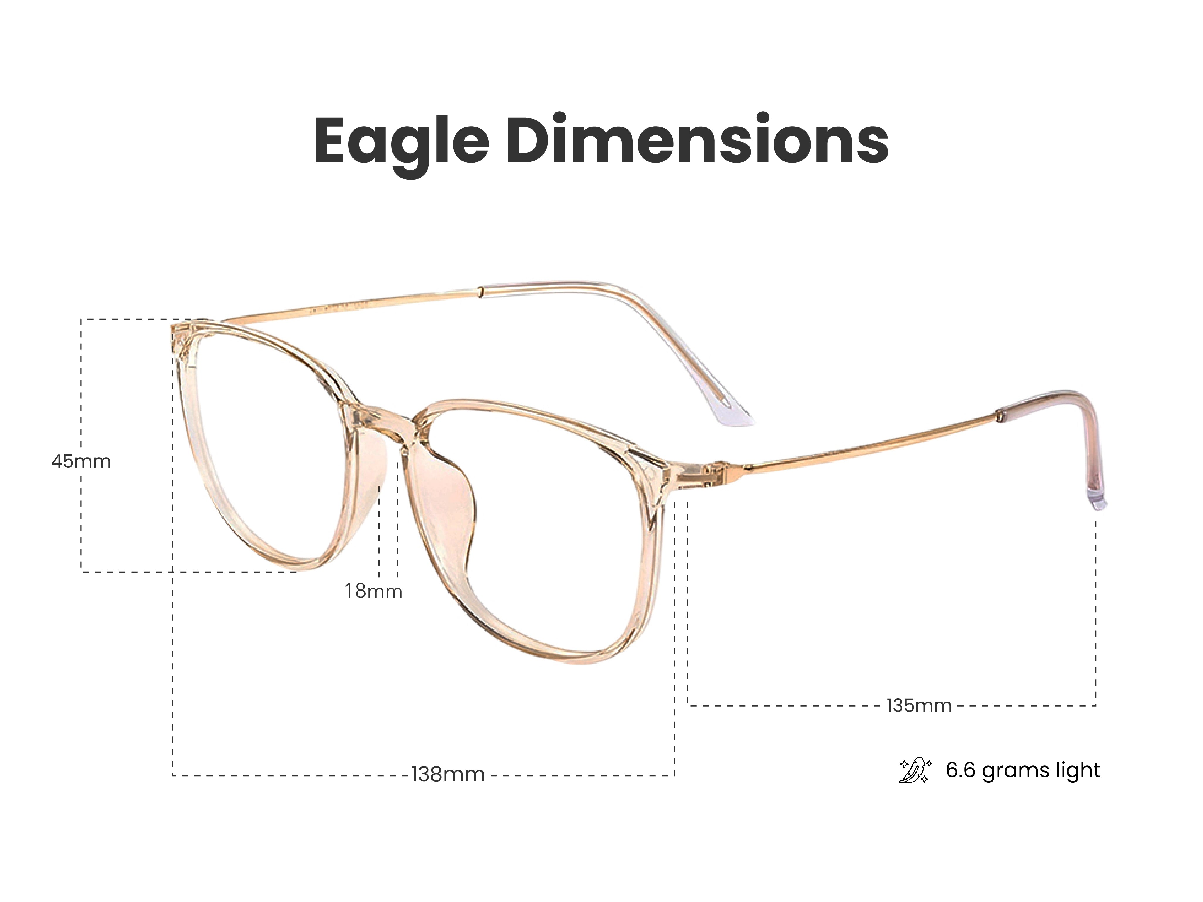 Load image into Gallery viewer, Eagle in Tea