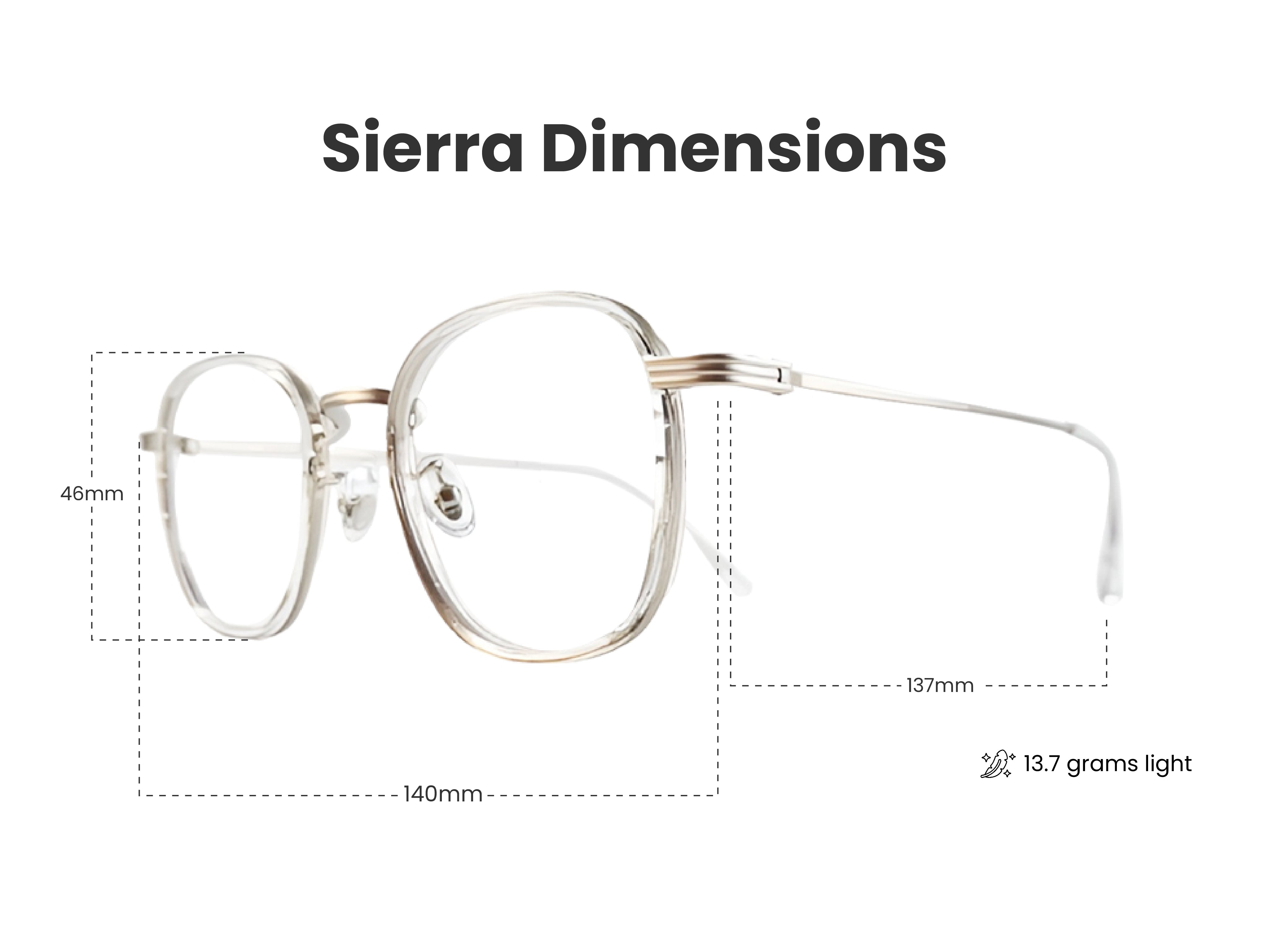 Load image into Gallery viewer, Sierra in Silver