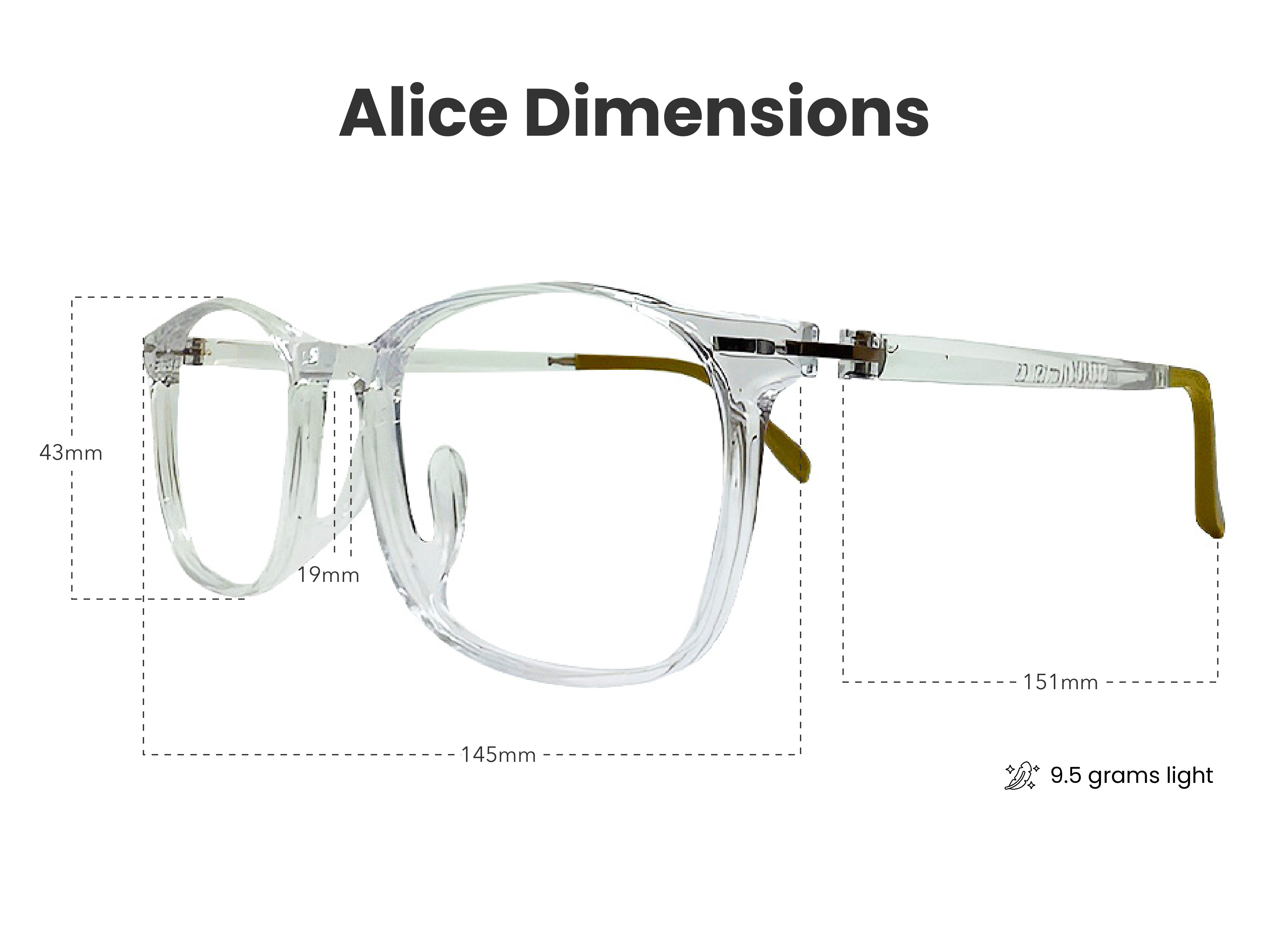 Load image into Gallery viewer, Alice in Clear
