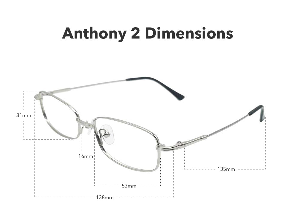 Load image into Gallery viewer, [PREORDER] Anthony 2 in Silver
