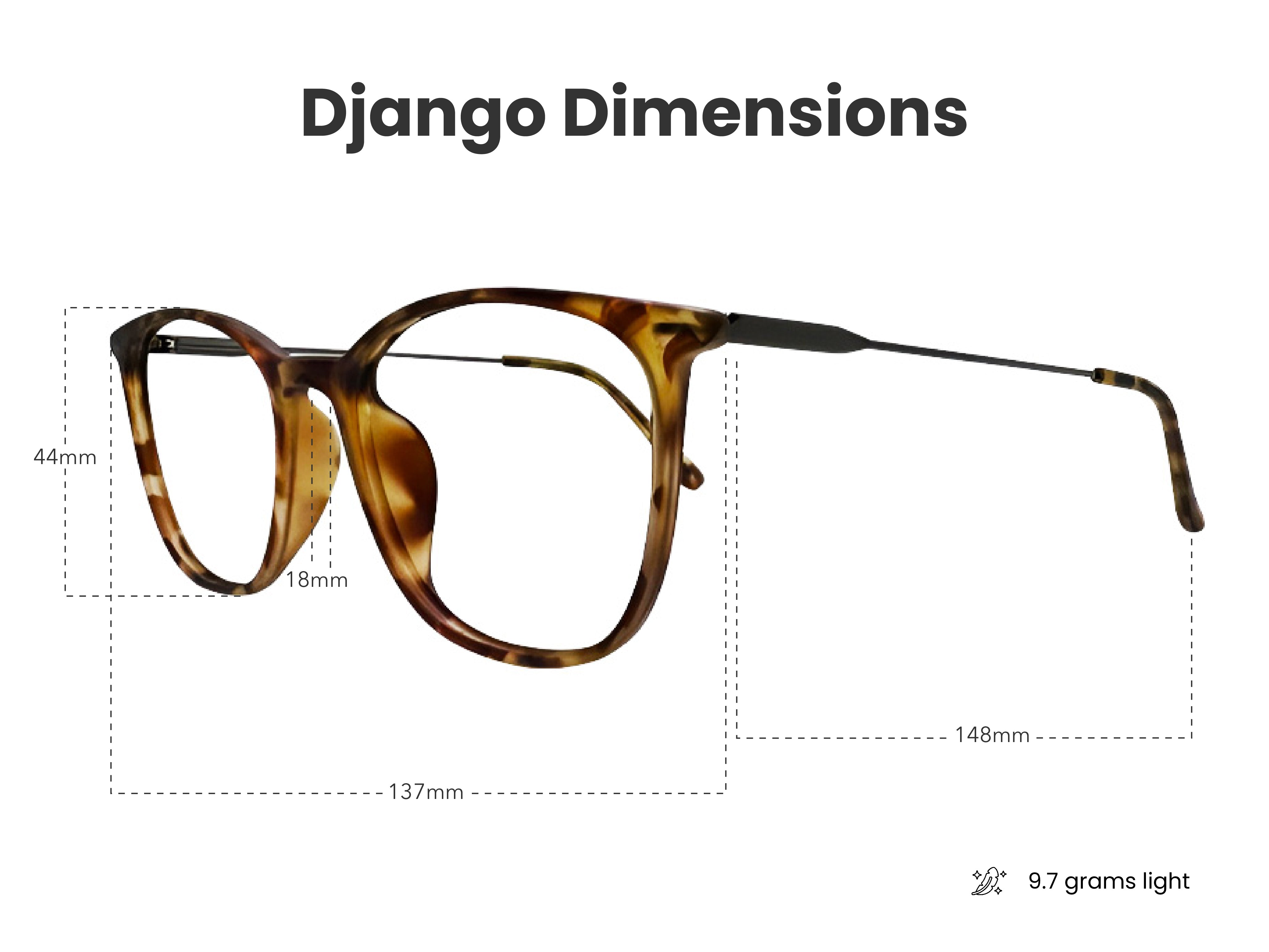 Load image into Gallery viewer, [PREORDER] Django in Autumn
