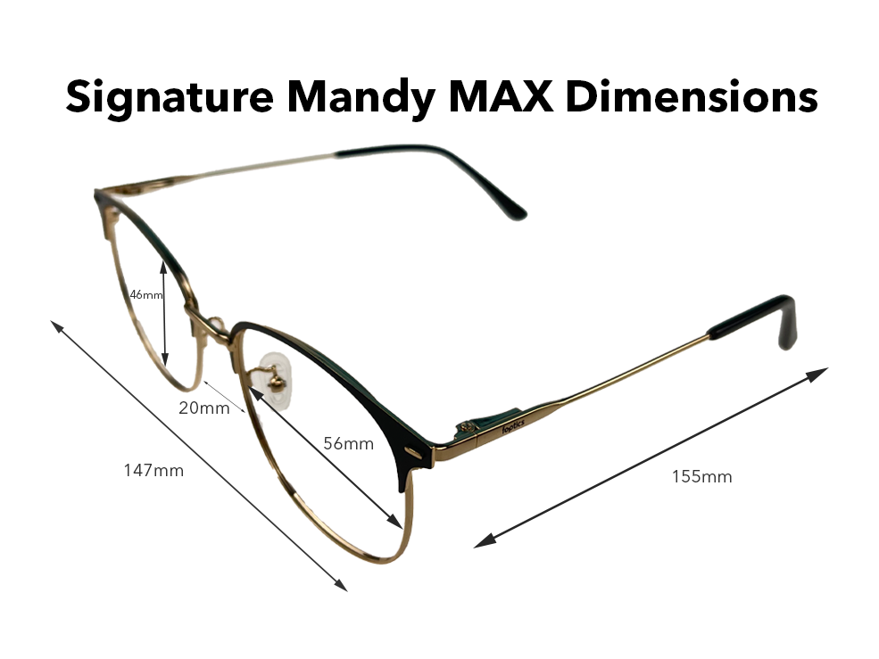 Load image into Gallery viewer, Signature Mandy MAX in Black-Silver
